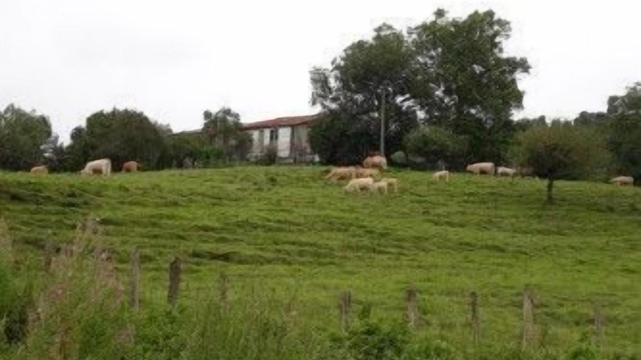 Photo of Outdoor in Zubieta