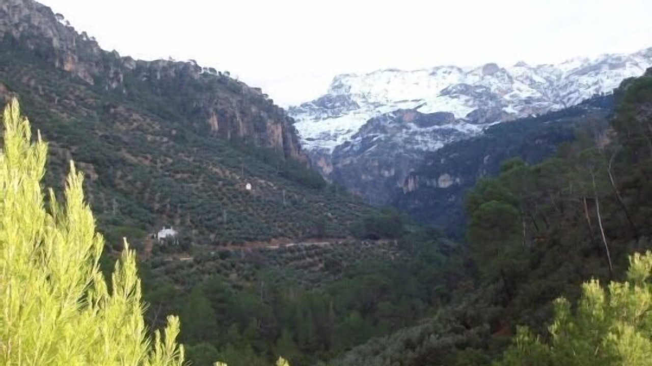 Photo of Others in Villanueva del Arzobispo