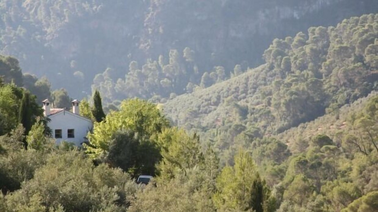 Photo of Others in Villanueva del Arzobispo