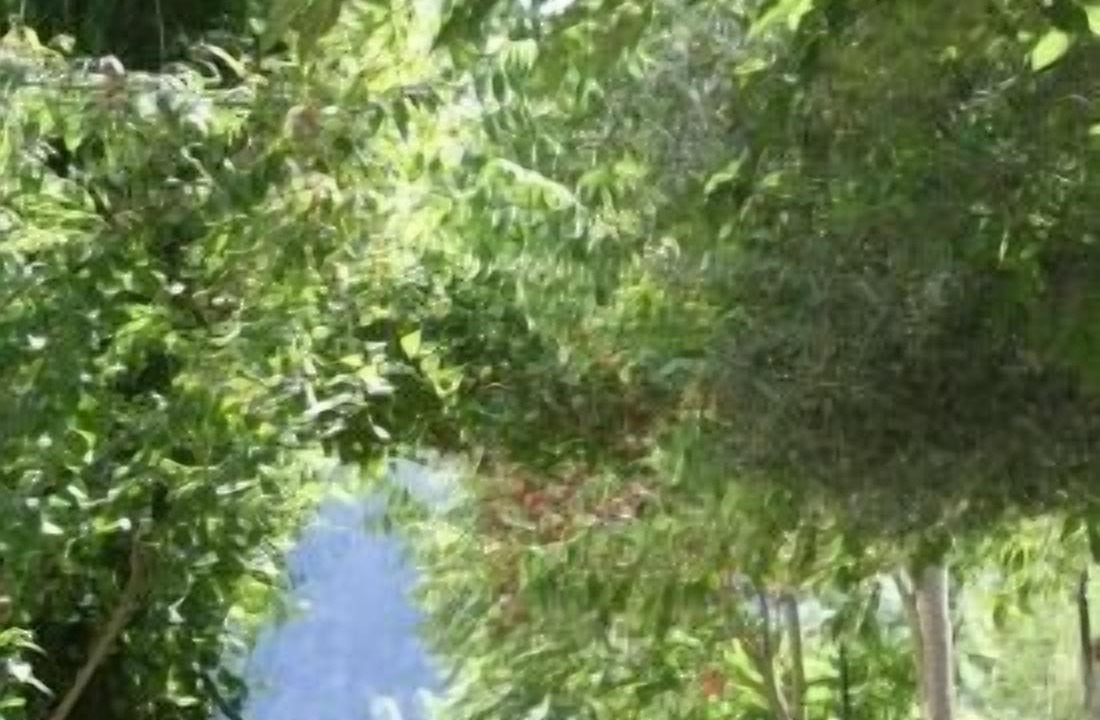 Photo of Patio Balcony in Villanueva del Arzobispo