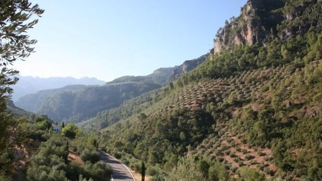 Photo of Others in Villanueva del Arzobispo