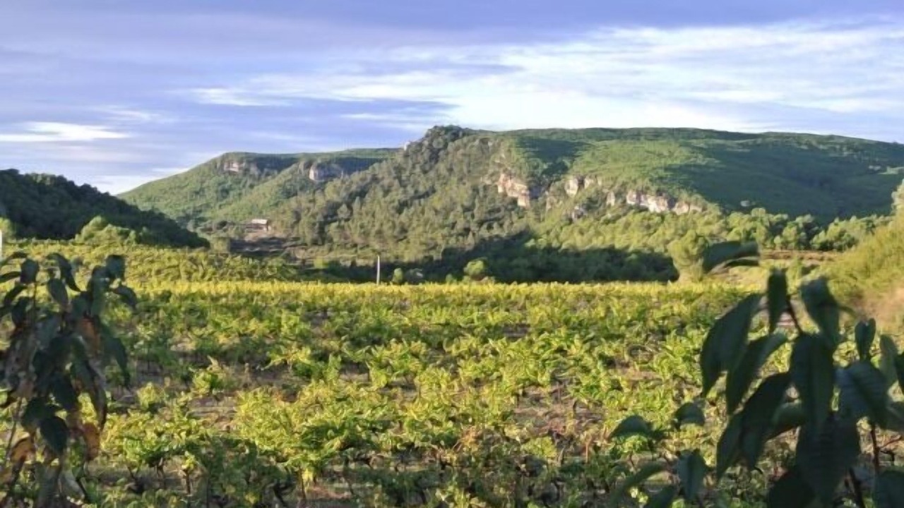 Photo of Outdoor in Pontons