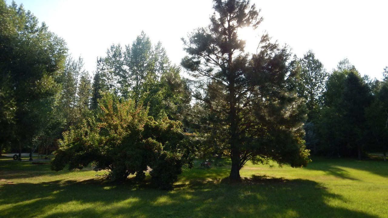 Photo of Others in Winthrop