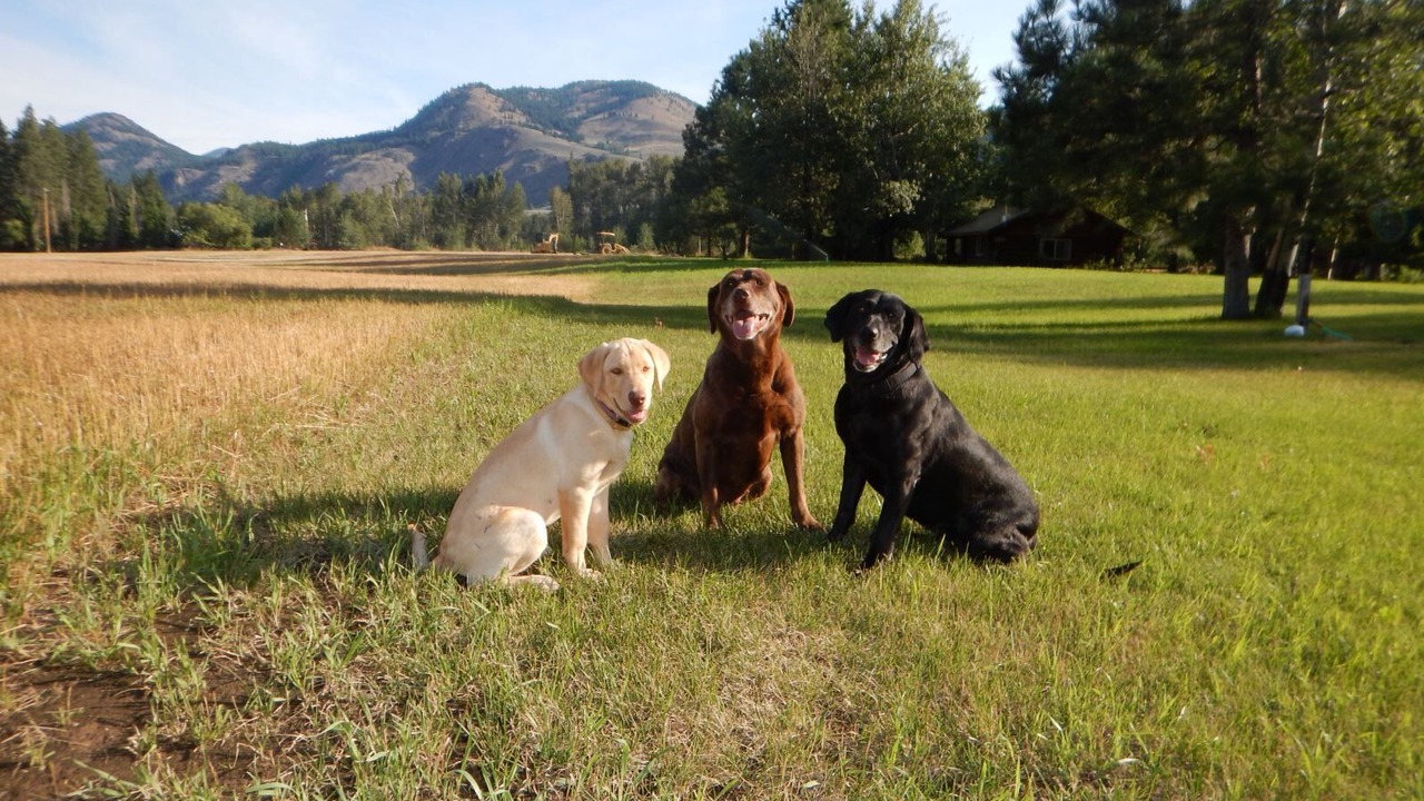 Photo of Others in Winthrop