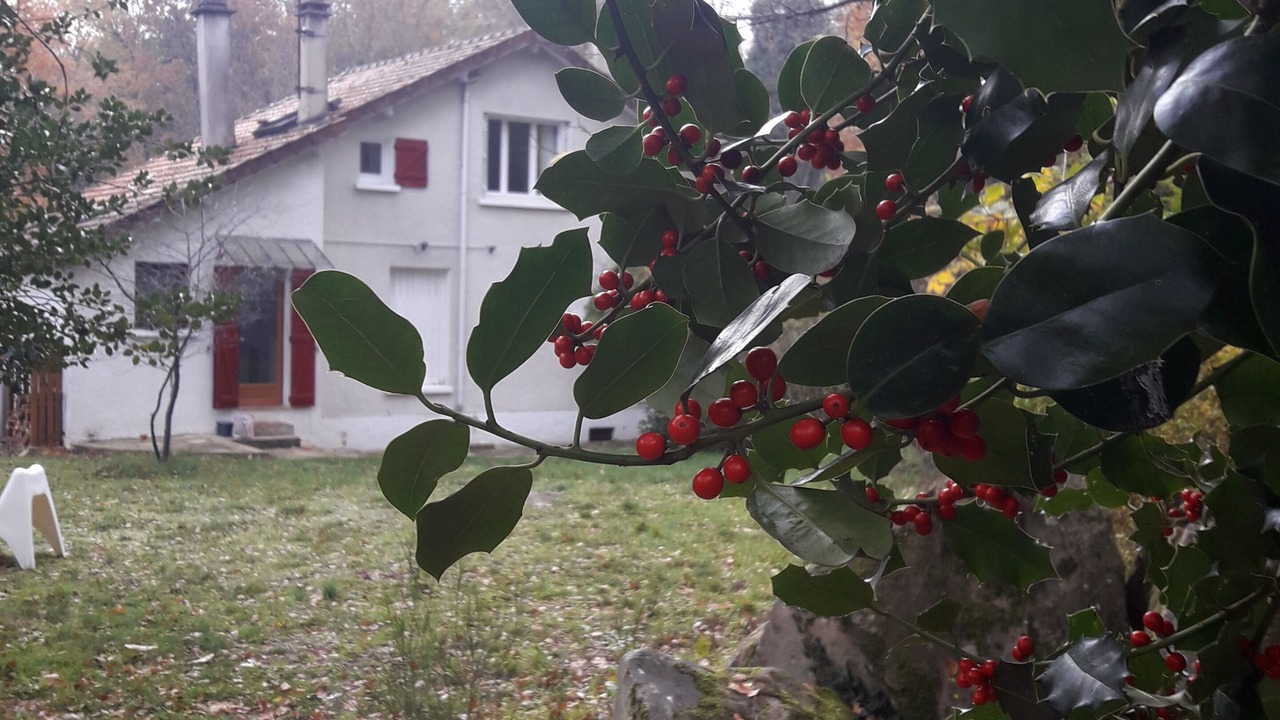 Photo of Outdoor in Noisy-sur-Ecole