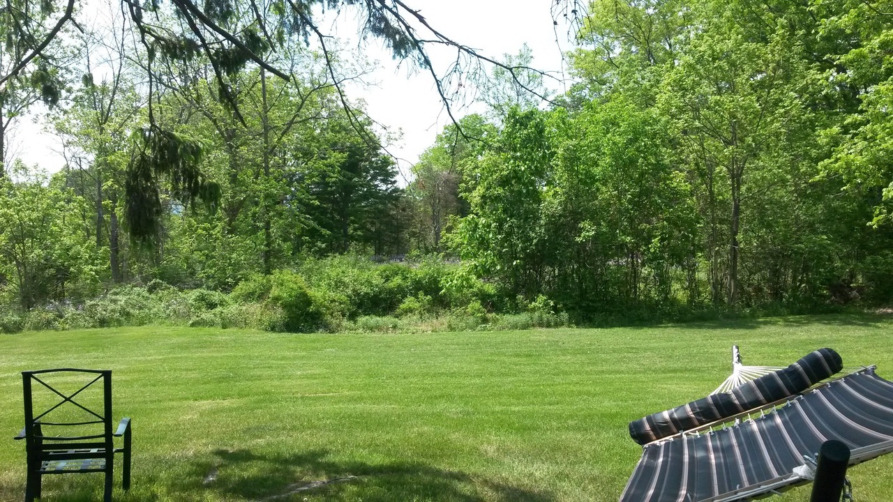 Photo of Others in Saugerties