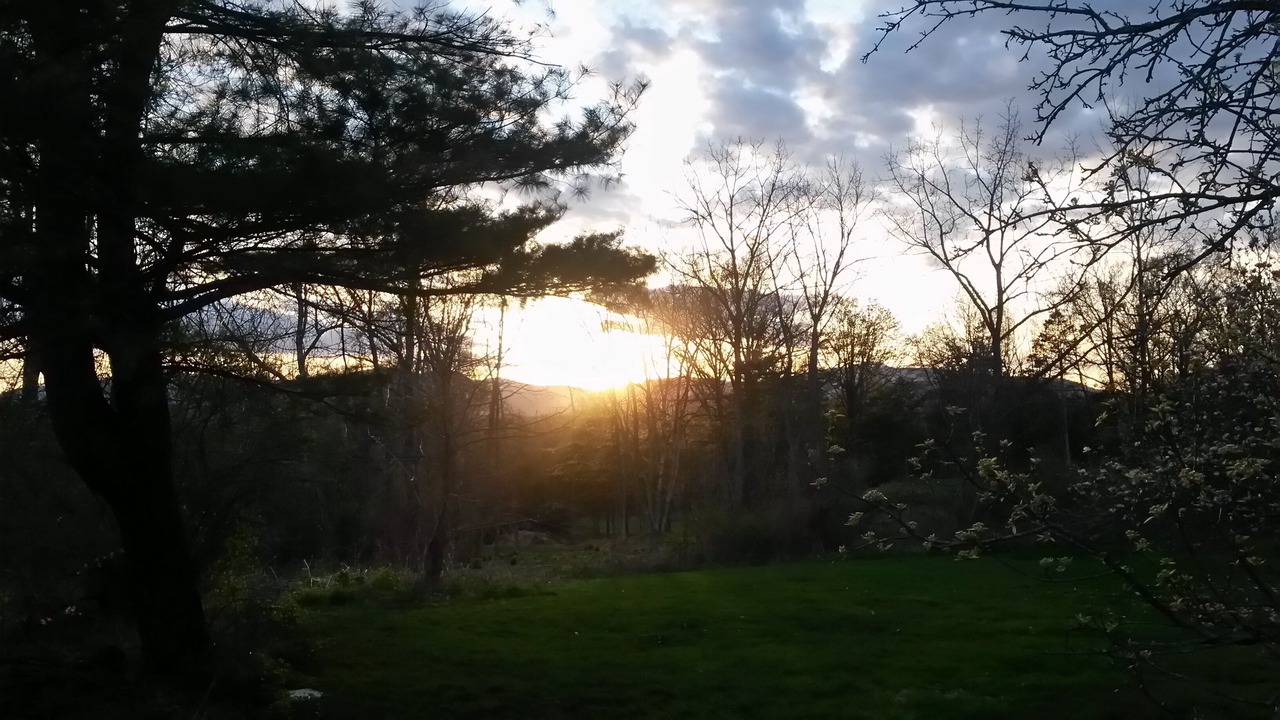 Photo of Others in Saugerties
