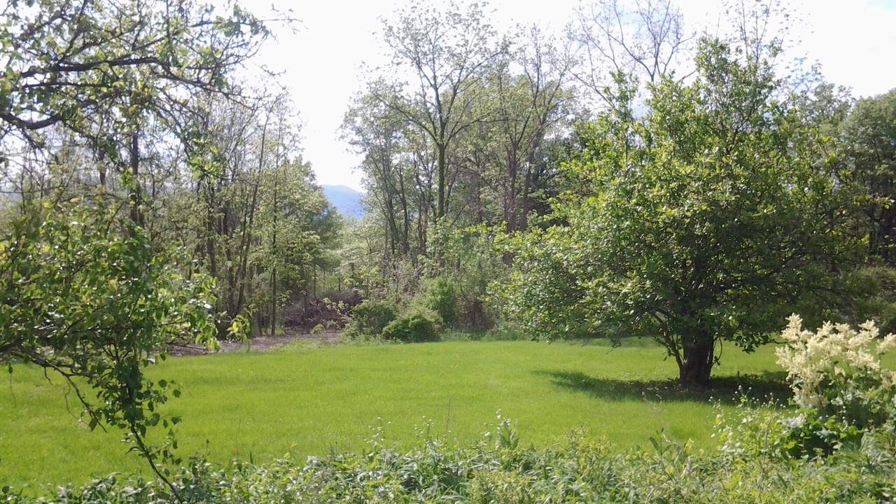 Photo of Others in Saugerties