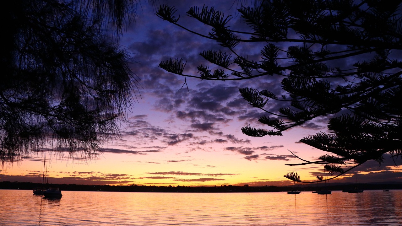 Photo of Others in Nords Wharf