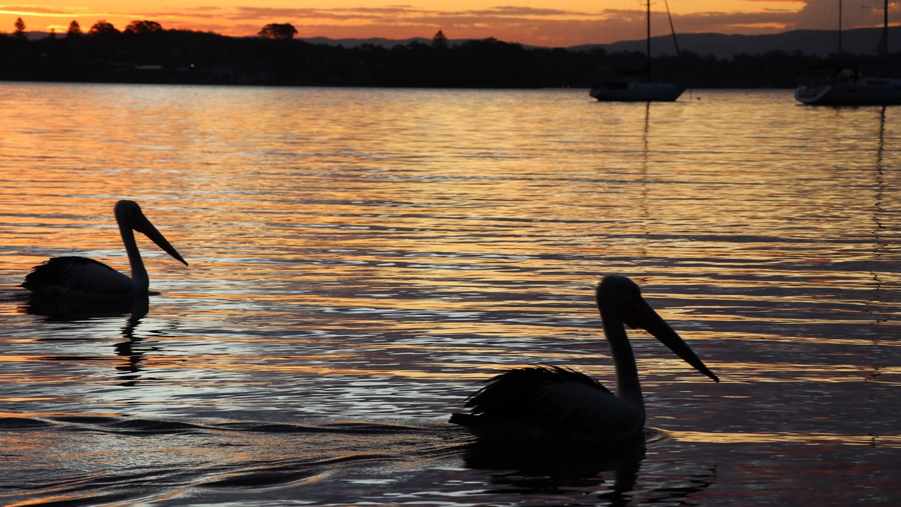 Photo of Outdoor in Nords Wharf
