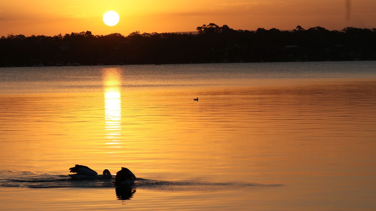 Photo of Others in Nords Wharf