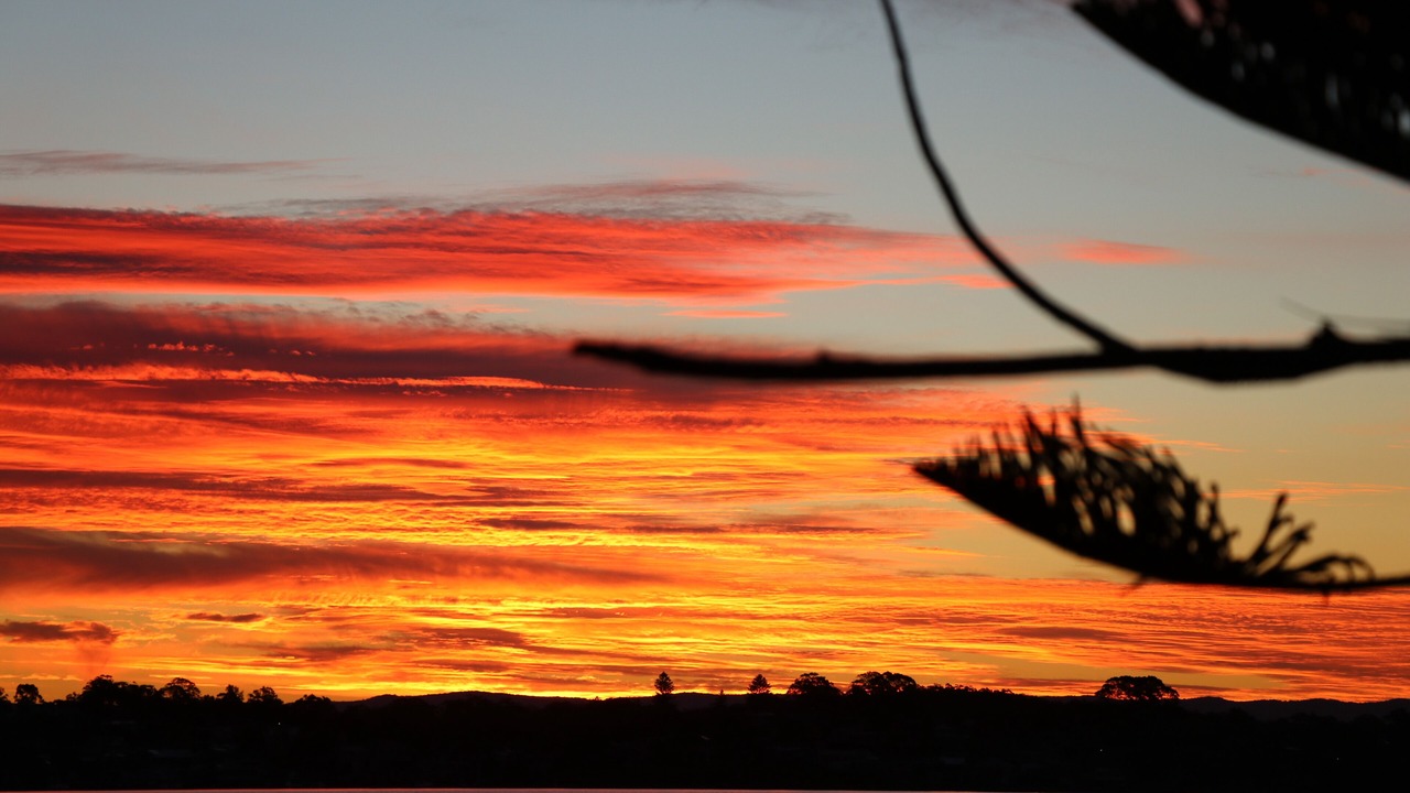 Photo of Others in Nords Wharf