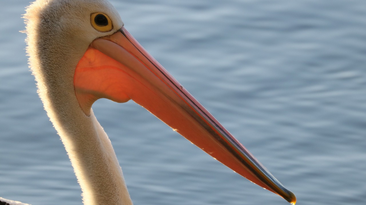 Photo of Others in Nords Wharf