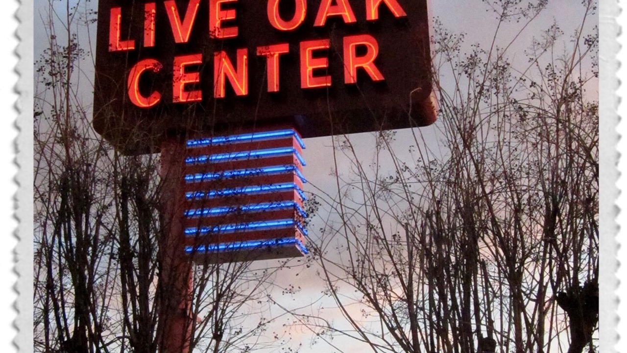 Photo of Outdoor in Lower Greenville