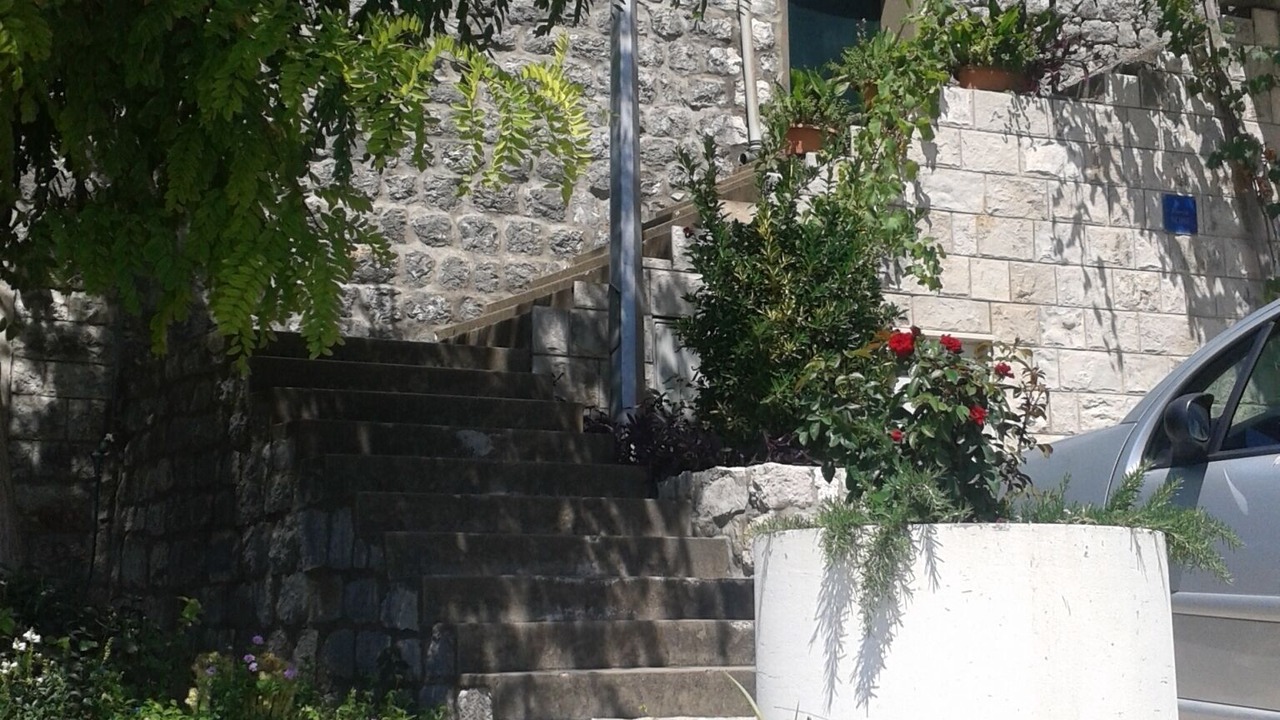 Photo of Others in Zaton
