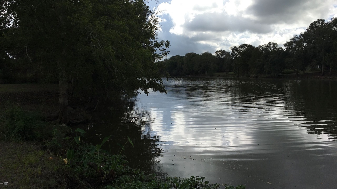 Photo of Outdoor in Iberia Parish