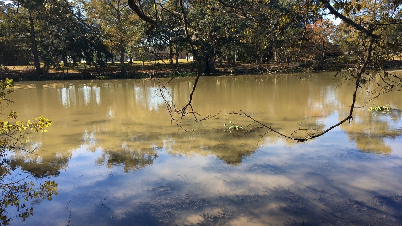 Photo of Outdoor in Iberia Parish