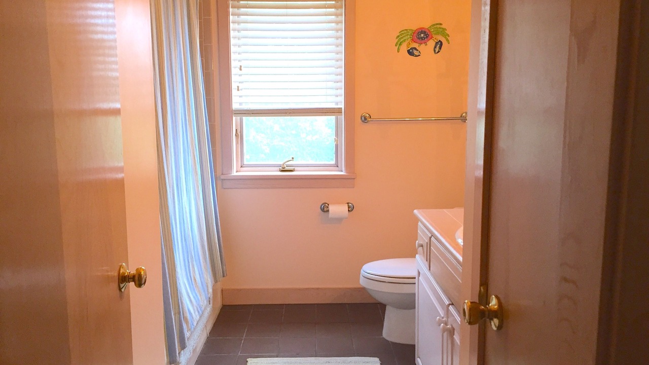 Photo of Others in West Tisbury