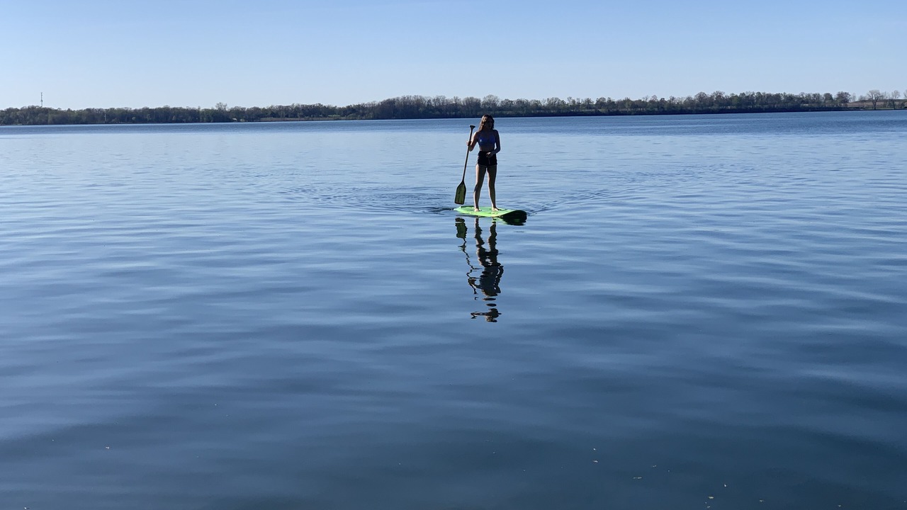 Photo of Others in Picton