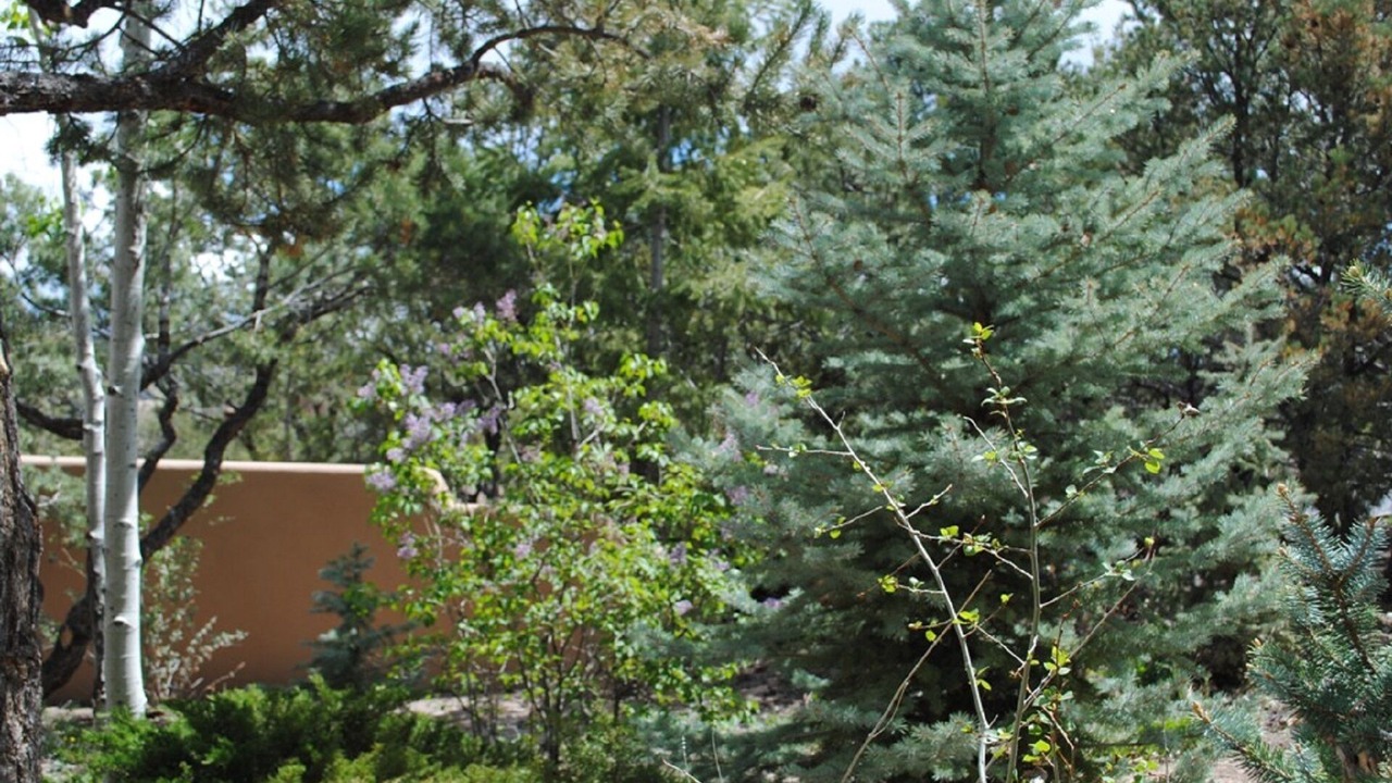 Photo of Outdoor in Northeast Santa Fe