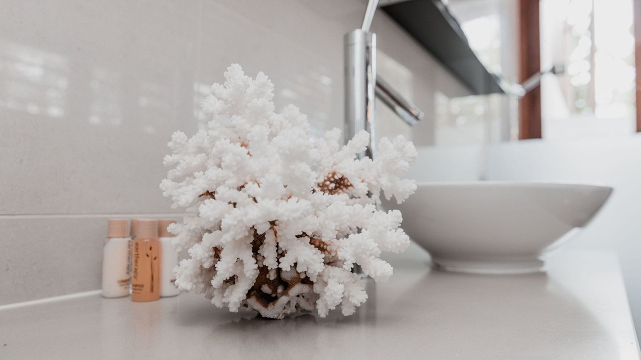 Photo of Bathroom in Sunshine Beach