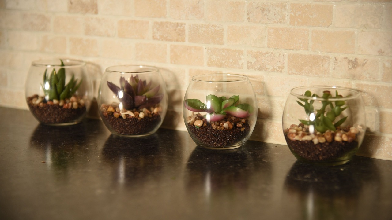 Photo of Others in Laurel