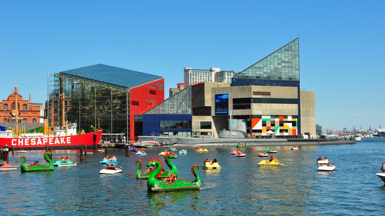 Photo of Others in Laurel