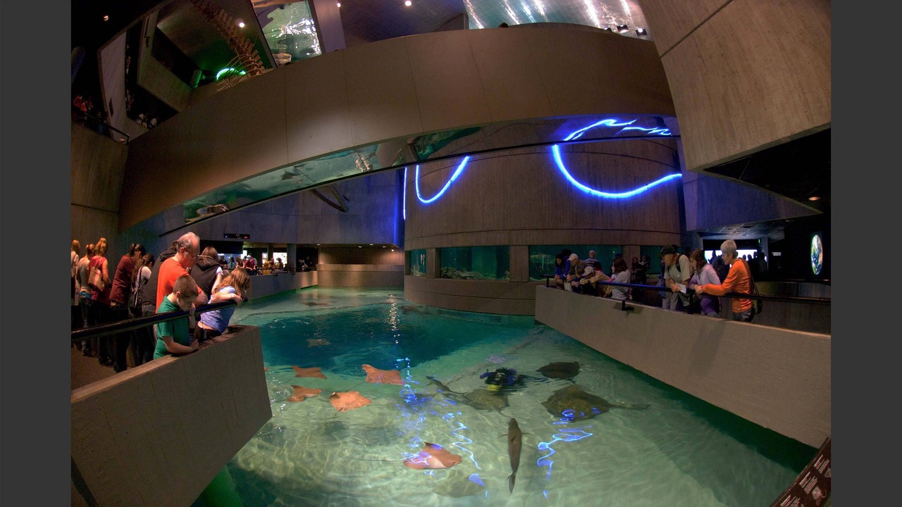 Photo of Others in Laurel