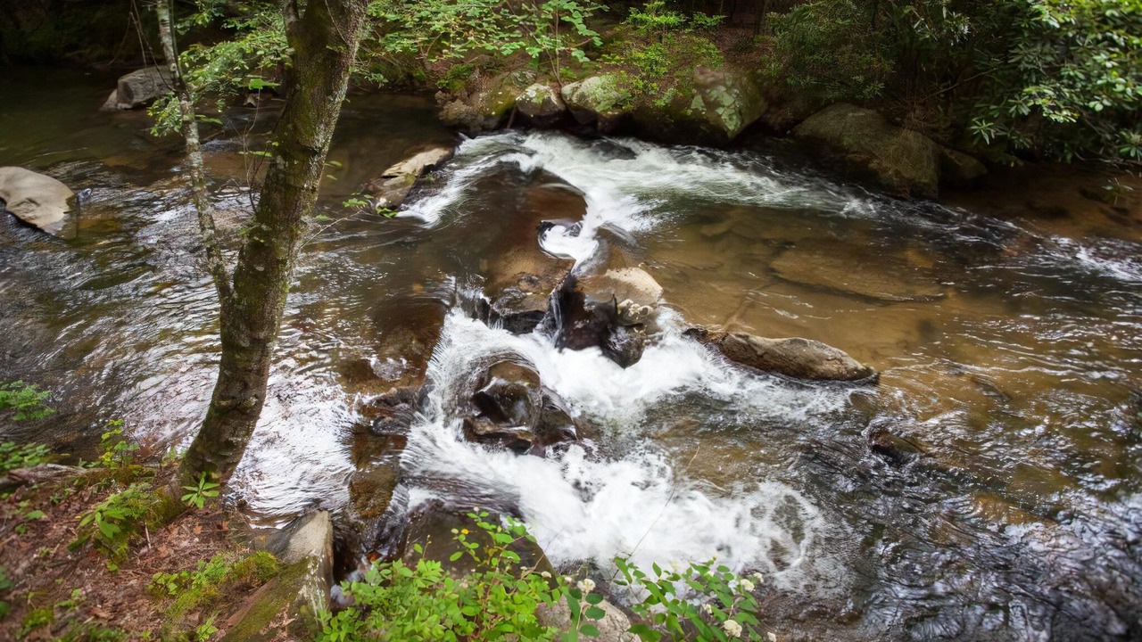 Photo of Others in Blue Ridge