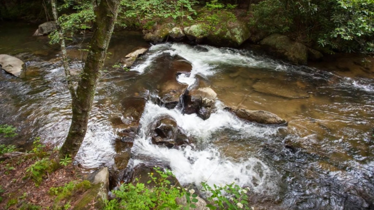 Photo of Others in Blue Ridge