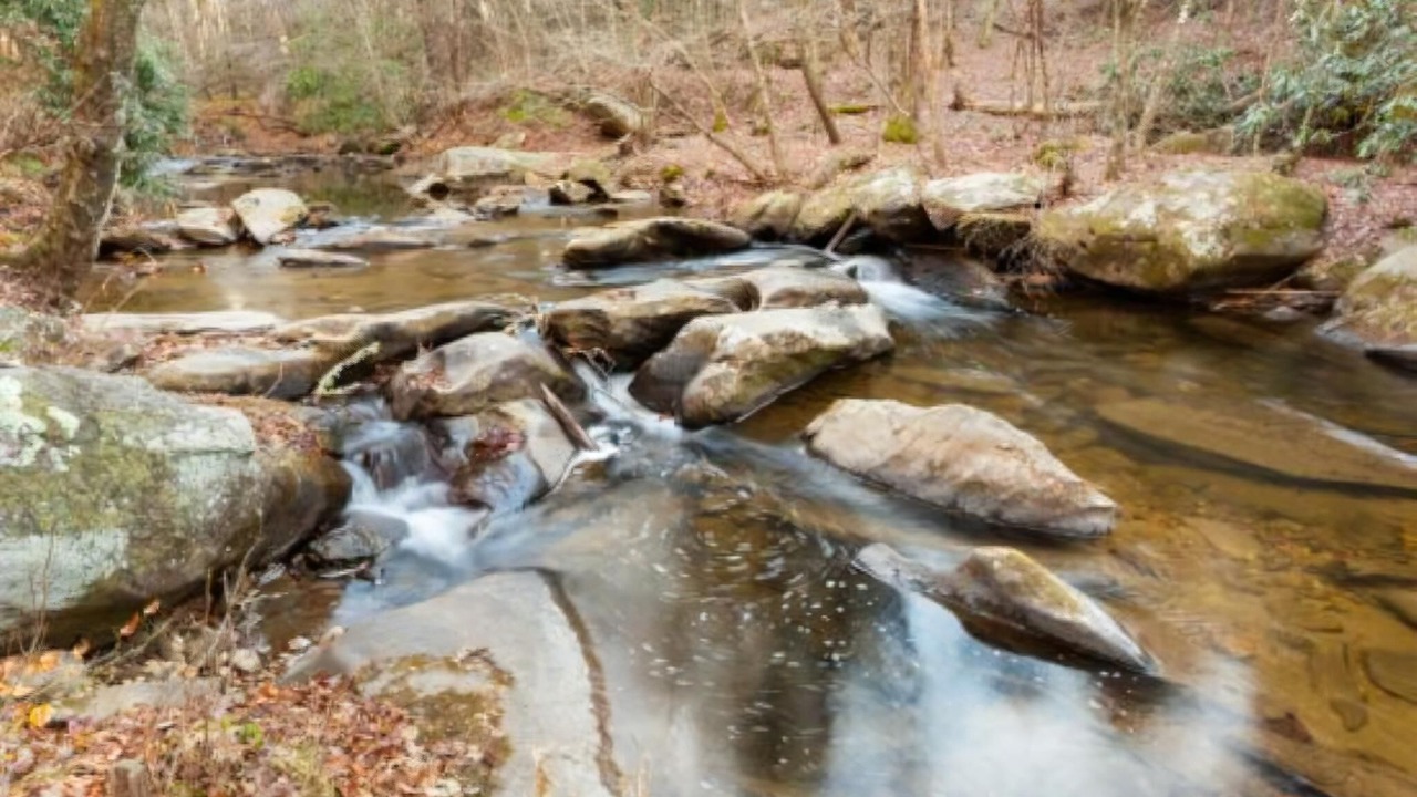 Photo of Others in Blue Ridge