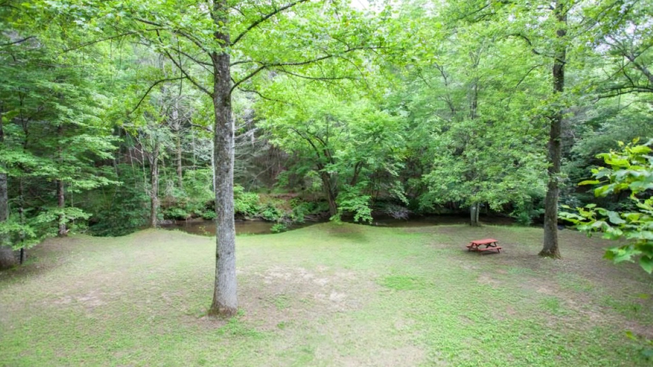 Photo of Others in Blue Ridge