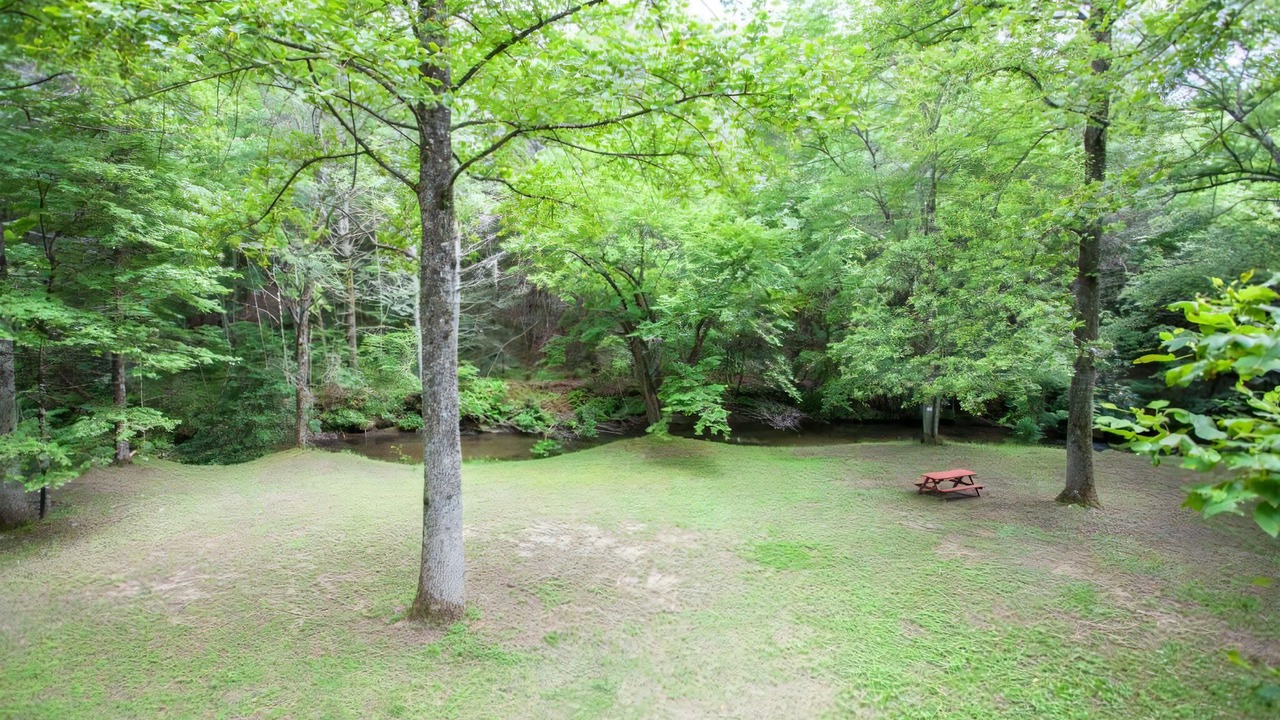 Photo of Others in Blue Ridge