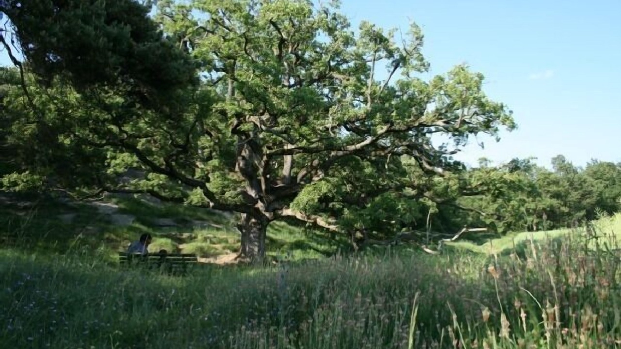Photo of Outdoor in Sant Boi de Llucanes