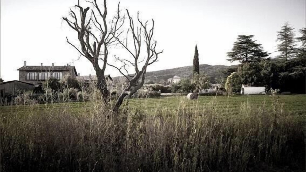 Photo of Outdoor in Sant Boi de Llucanes