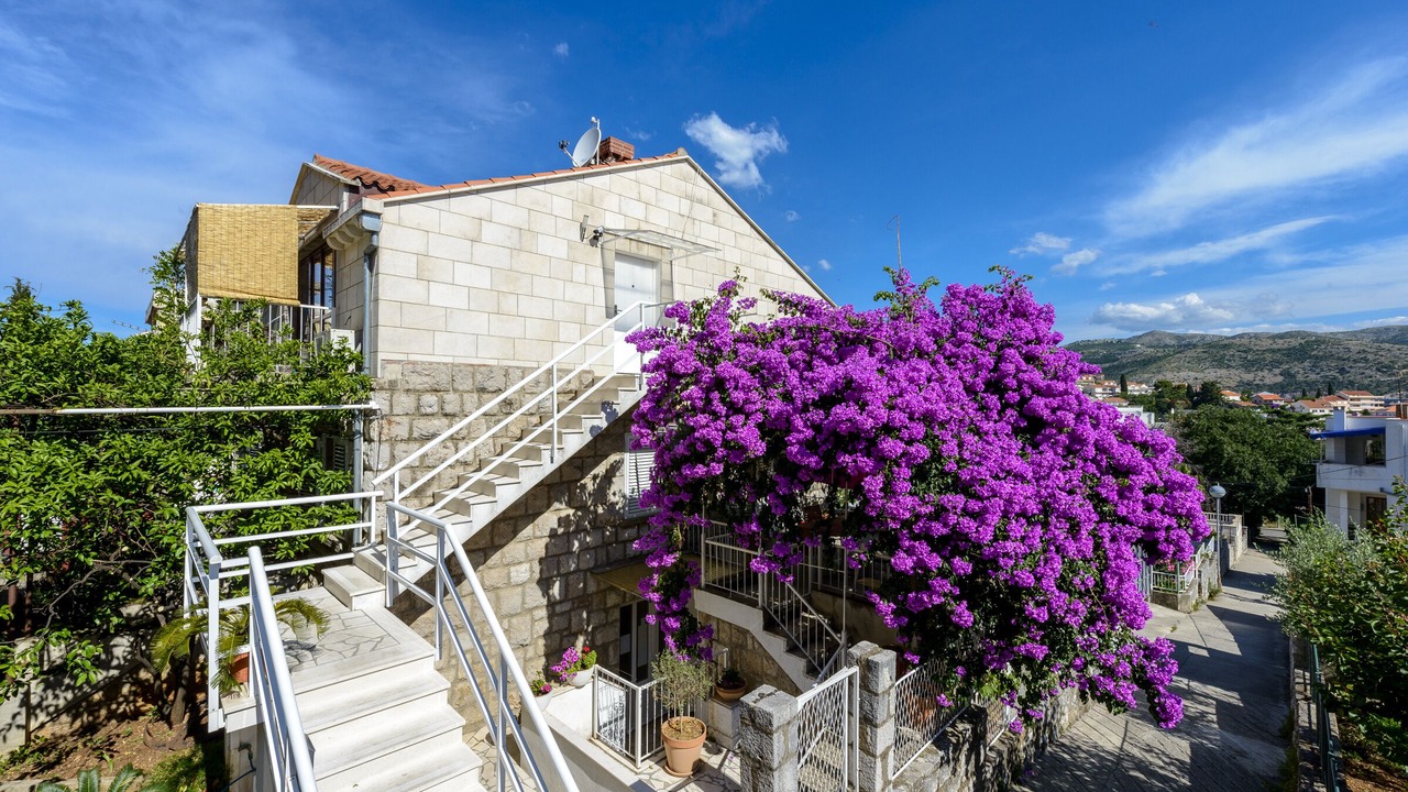 Photo of Outdoor in Lapad