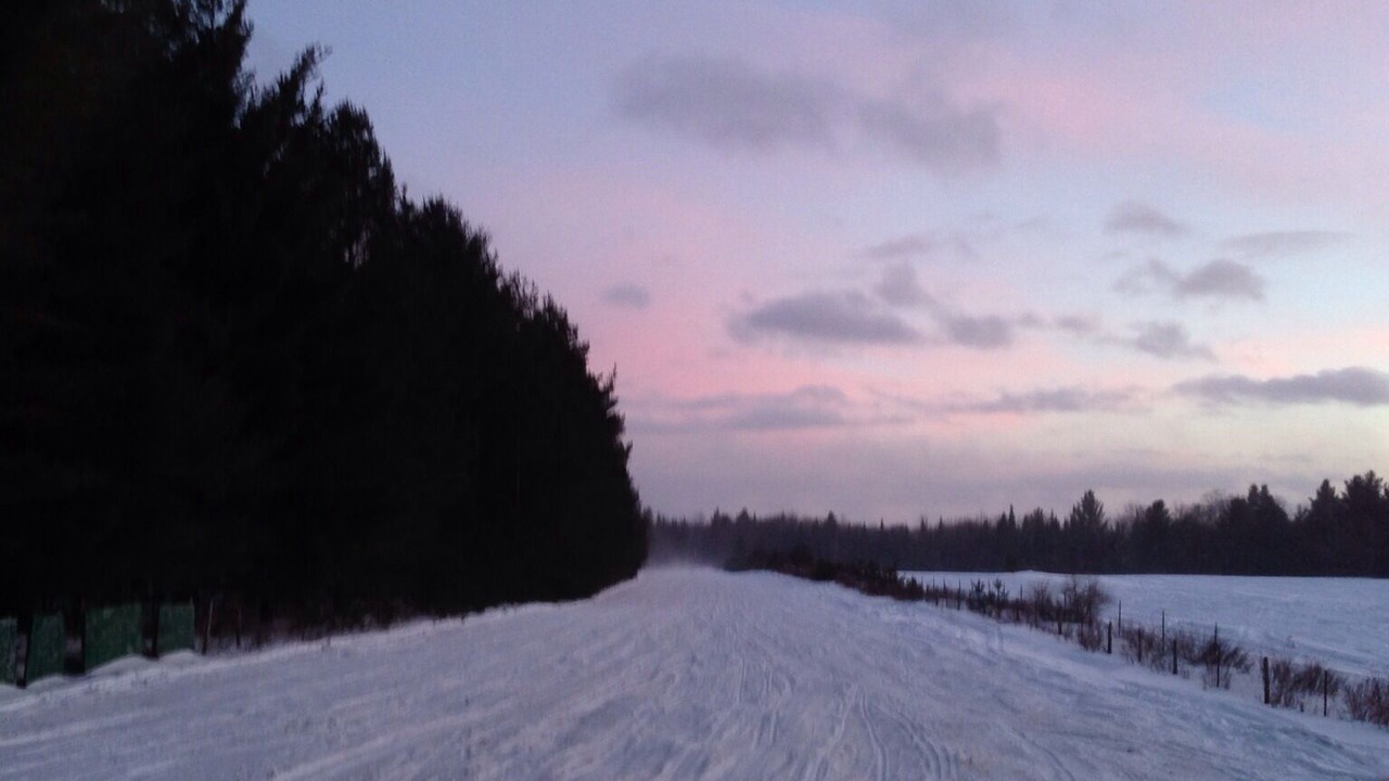 Photo of Others in Woodgate