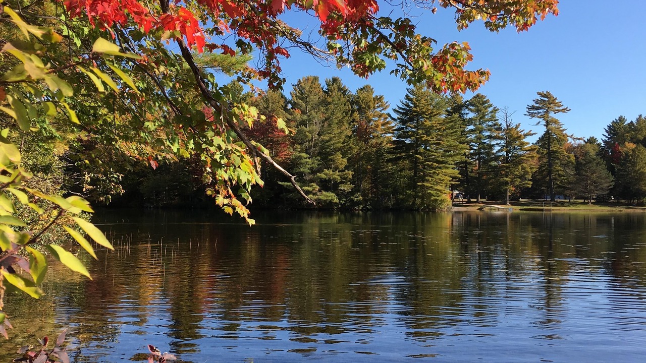 Photo of Outdoor in Woodgate