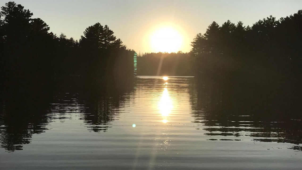 Photo of Others in Woodgate