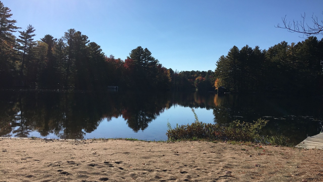 Photo of Others in Woodgate