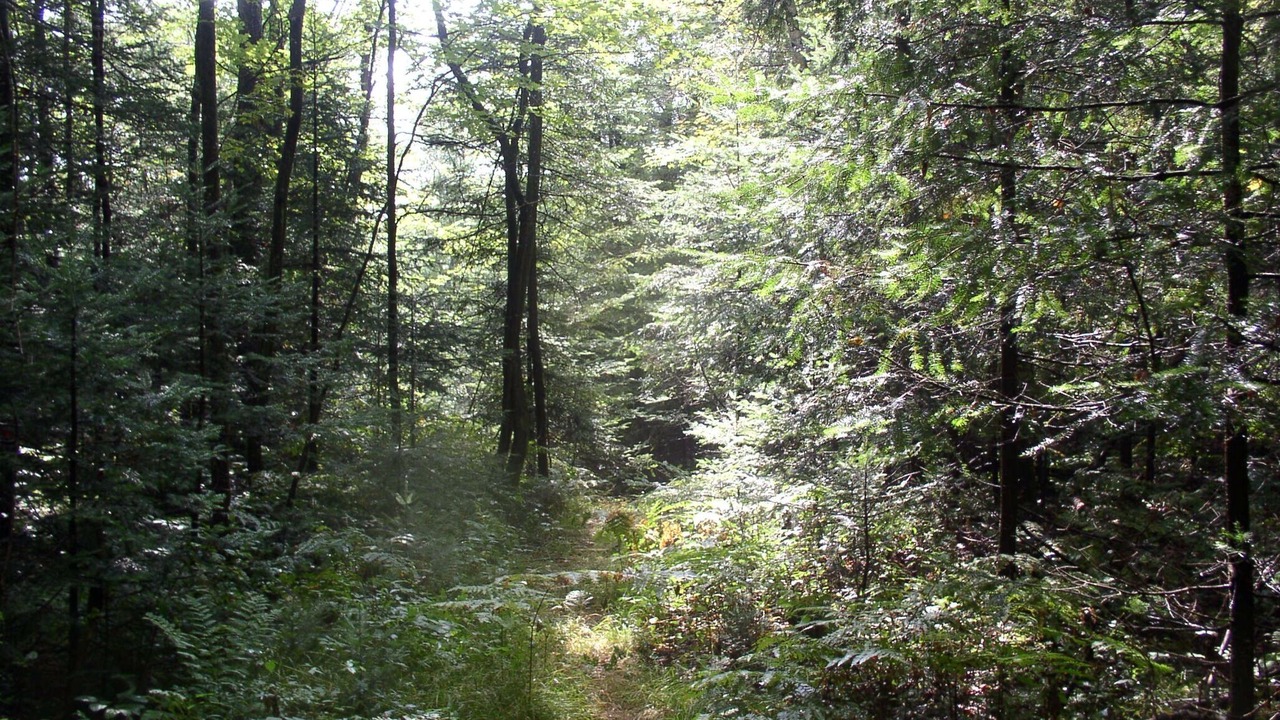 Photo of Outdoor in Woodgate