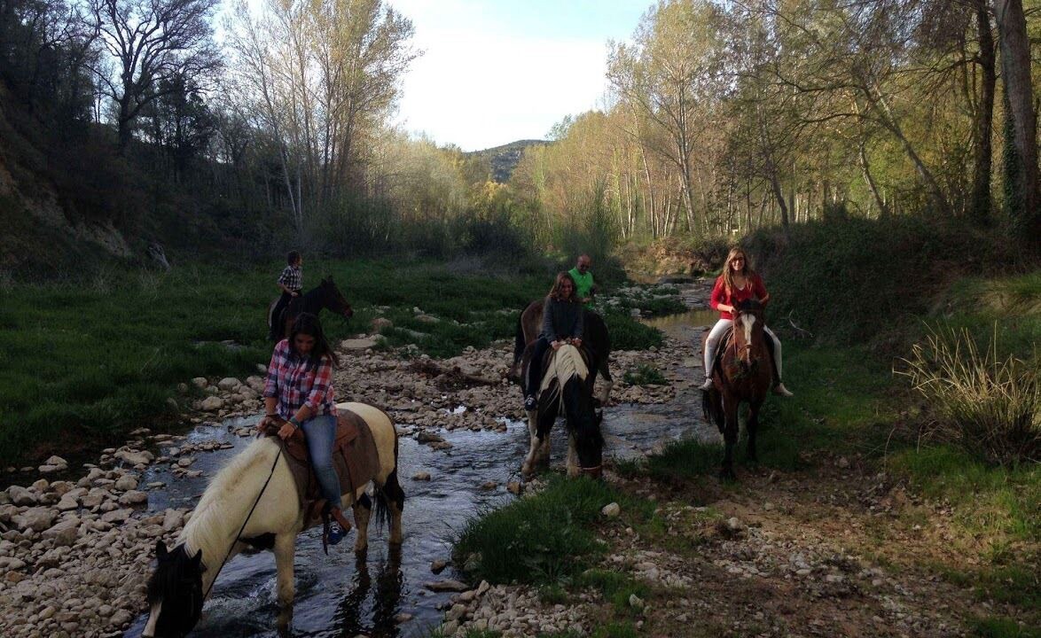 Photo of Others in Todolella