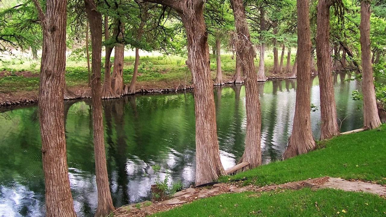 Photo of Others in Leakey