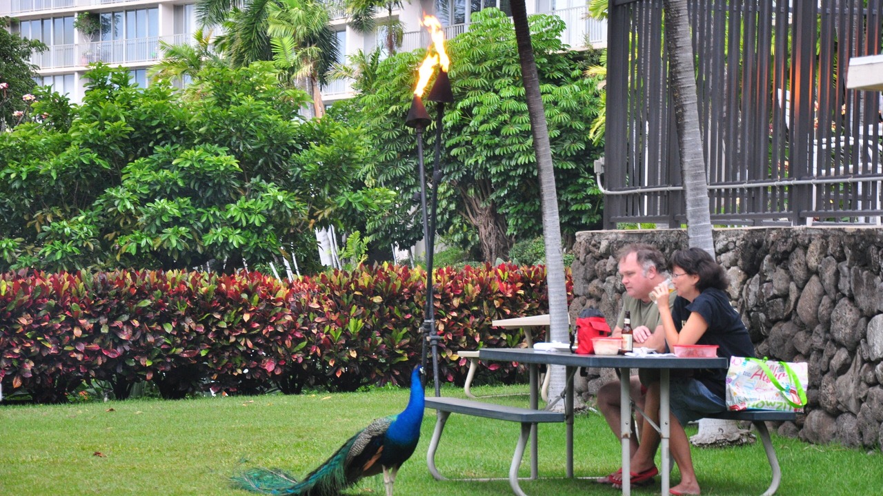 Photo of Outdoor in Makaha