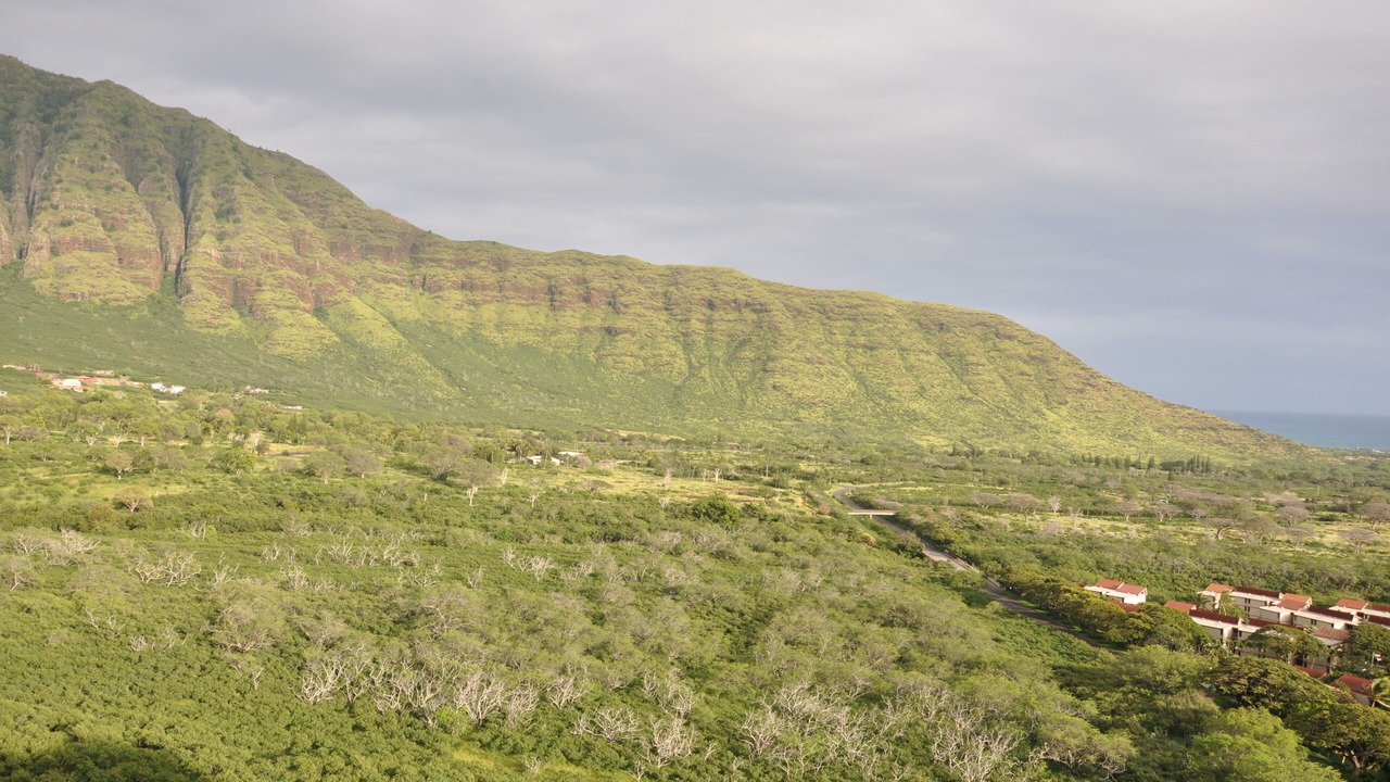 Photo of Others in Makaha
