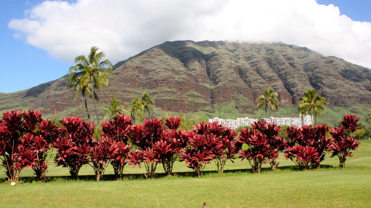 Photo of Others in Makaha