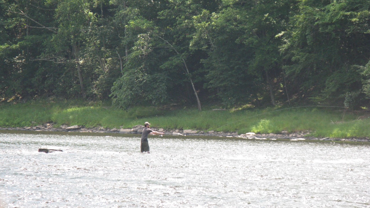 Photo of Others in Barryville