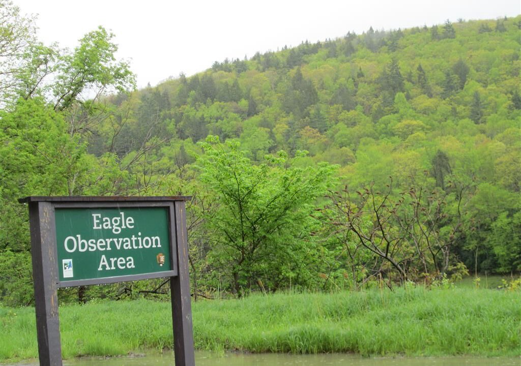 Photo of Others in Barryville