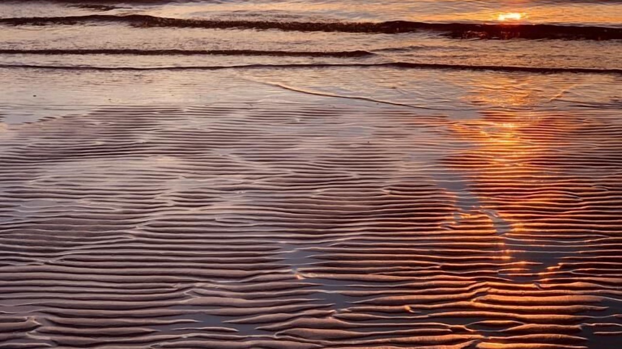 Photo of Others in North Eastham