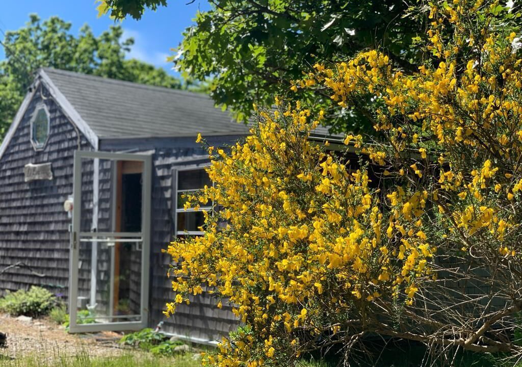 Photo of Outdoor in North Eastham